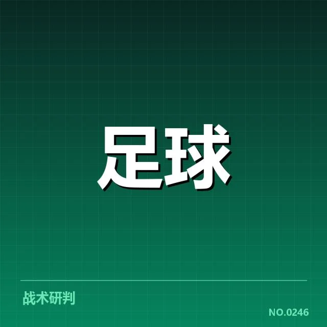 最新教练组名单与职责分配